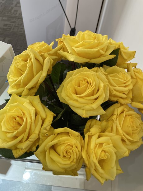 hips onlyfans free nude pictures