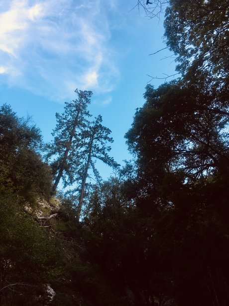 Thickdickmvn star art img