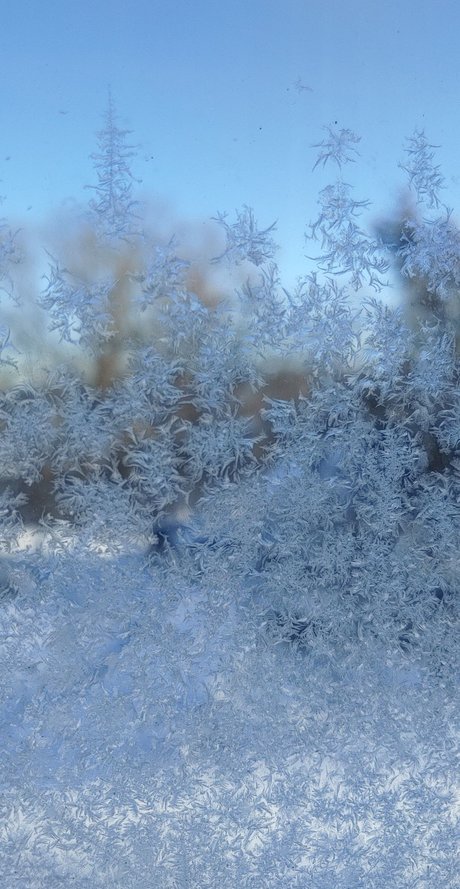 Miss Mallory best star picture