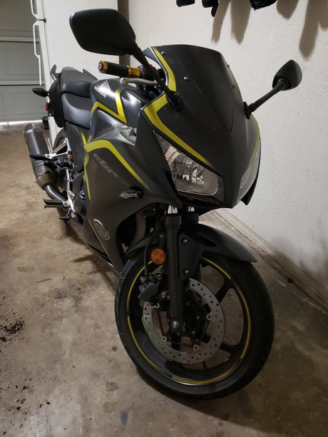 The Lady Black model exclusive image