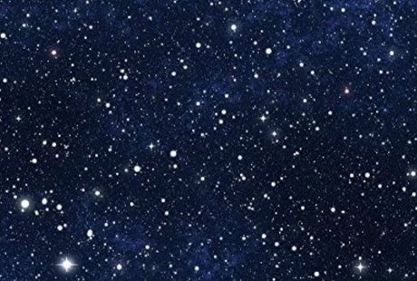 Yari_ star adult img