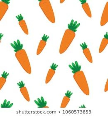 Thee Bunny star nudes pictures