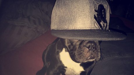 Olsern model free pictures