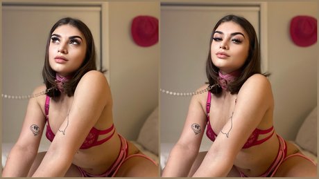 Tay xx star best galleries