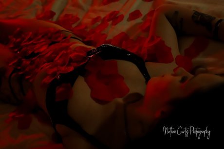 Taylor bailey pornstar free img