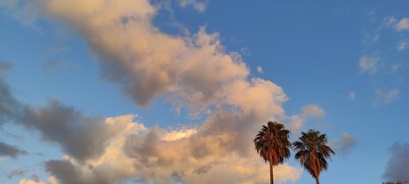 Teddy Velazquez erotic model pics