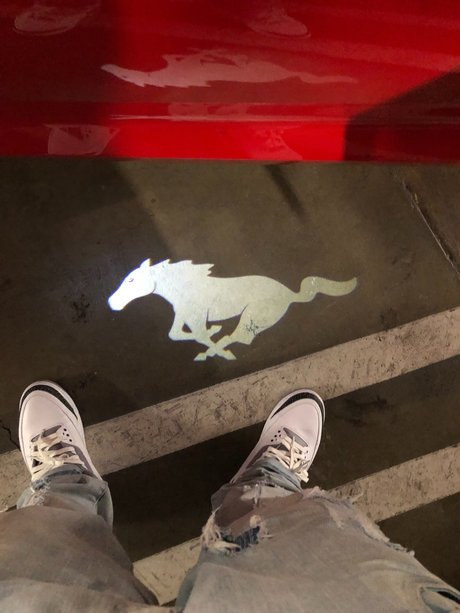 _aucy Jay art actress photos