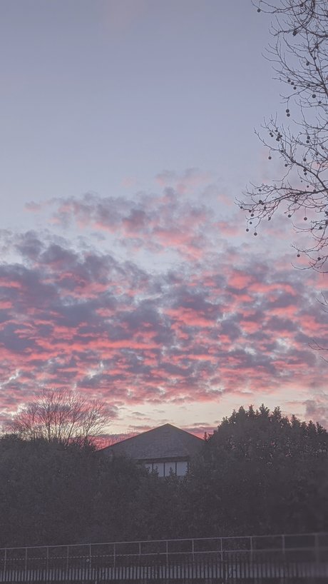 Callie Rose pornstar sex gallery