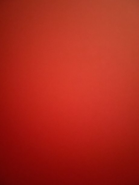 AussieNiNJA x model pornographic img