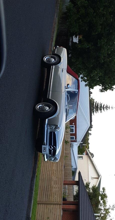 Pet nudes star photos