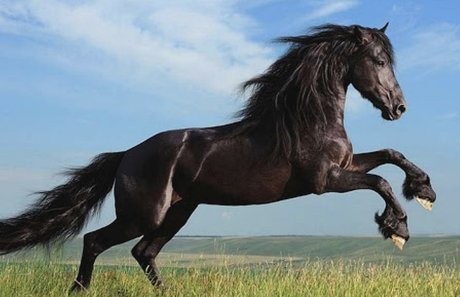 lillliiillllii model top images