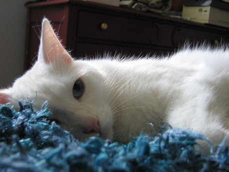 Tsuki erotic model gallery