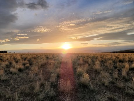 Fusionho model best picture