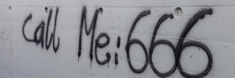 moth high quality star images