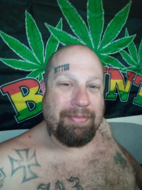 Mr Fox pornstar erotic images