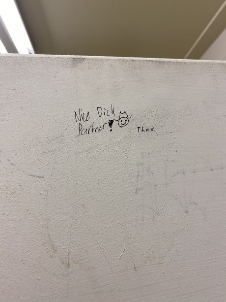 Boston Cream star adult photo