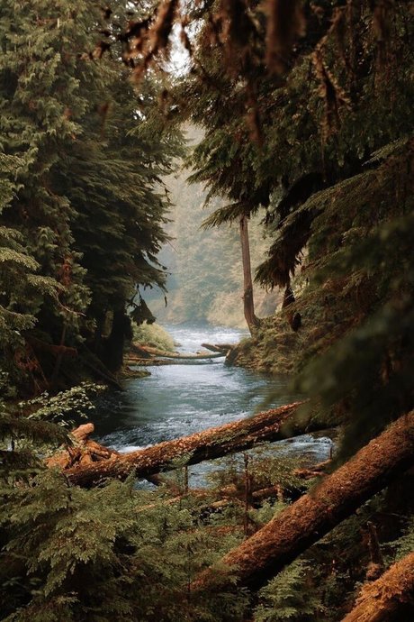 Kohl World pornstar nudes pics