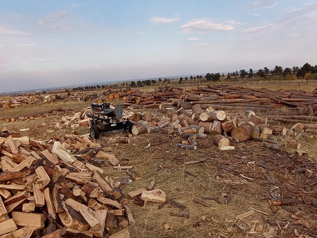 Fallen Watcher star perfect photo