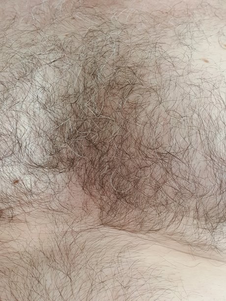 Harry Mann model picture