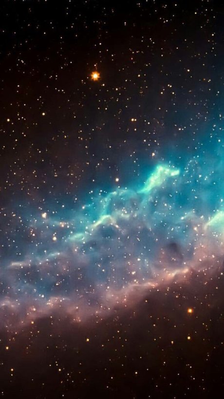 _Necro_ model art pic