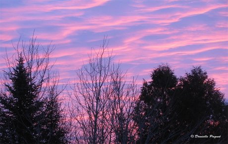 gayboy high quality actress pictures