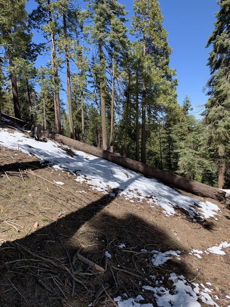 Damien and Lewis star erotic photo