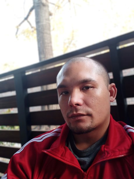 The Asian Persuasion art star photos