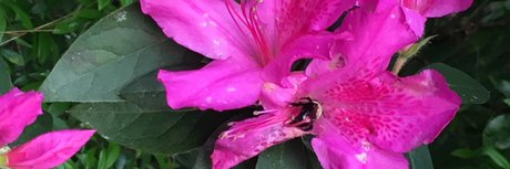 u16670064 xxx pornstar picture