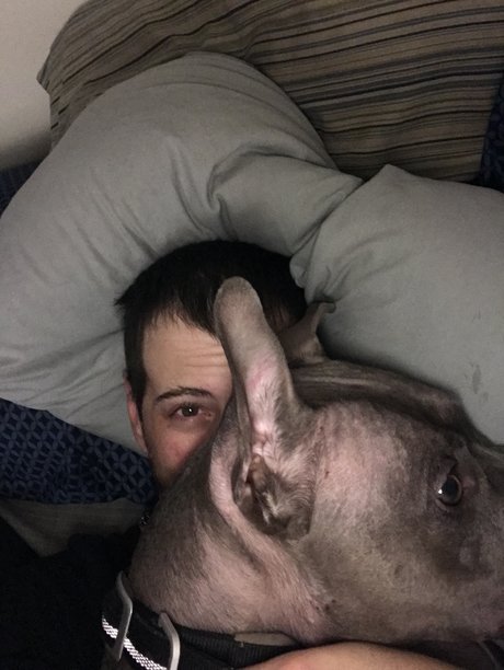 Someguy3e free model archive