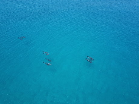 Flyingbeers nude star pic