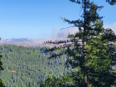 SmkinSexy erotic star galleries