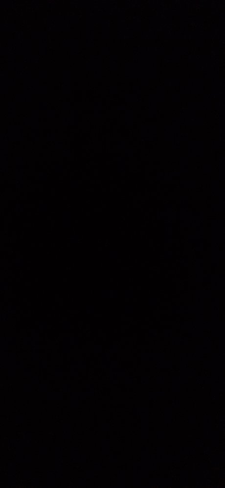 Papi Gato star porn pics