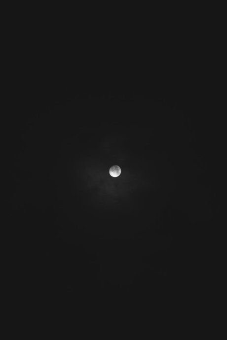 Felipe D Morquecho model high quality picture