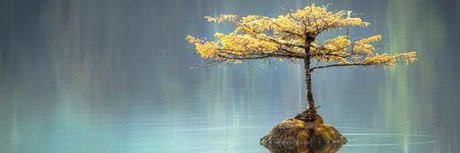 u21504771 beautiful actress pic