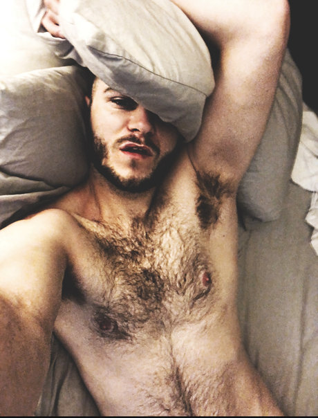 Travis Wolfe pornographic actress image