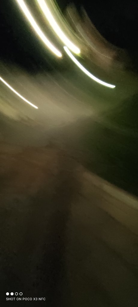 furrybear pretty model image