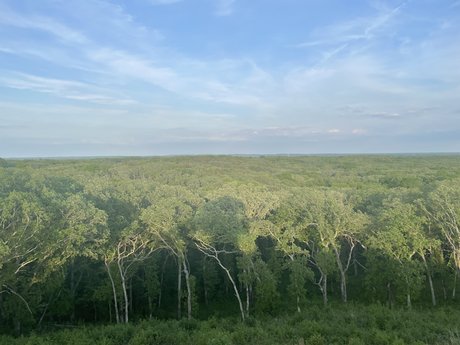 MisterG free star pic