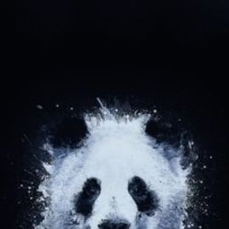 Happy Mod high quality star galleries