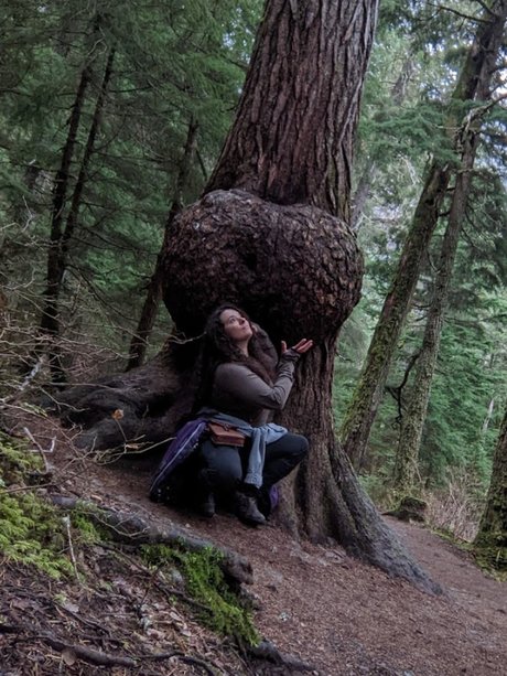 Two Wheeled Hobbit high quality star gallery