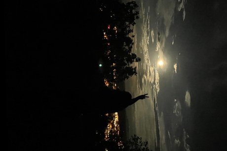 D Dee free model galleries