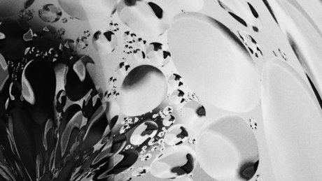 isaiah star best image