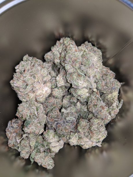 Jager1029 star free img