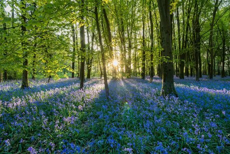 PersephonesPeach best actress picture