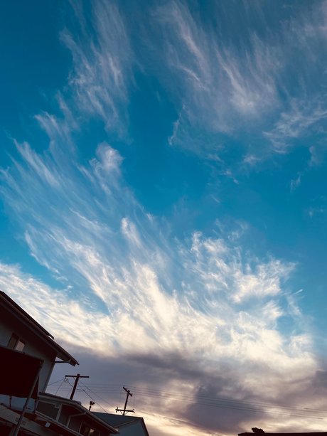 Tomo best pornstar gallery