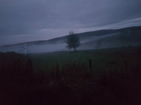 WyldeB star hd photo