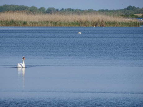 submissive onlyfans art naked photos