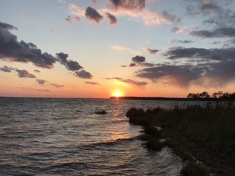 Marisa Chlo_ star adult images