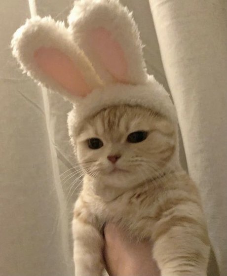 nuriadelavega pretty pornstar archive