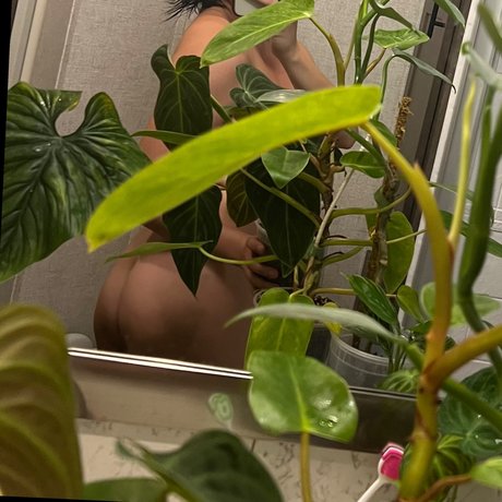 plantfeetpics adult actress galleries