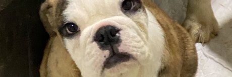 Paulo Teixeira model naked picture